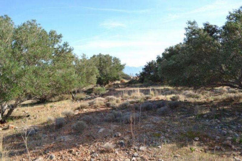 Schisma Eloundas Grundstück am Meer in Touristengebiet zum Verkauf auf Kreta Grundstück kaufen